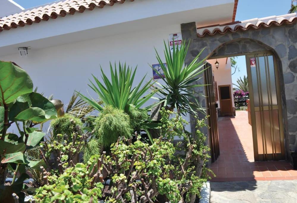 Los Cisnes Encantadora Casa Con Jardin Y Estudio Vista Al Mar El Medano  Exterior photo