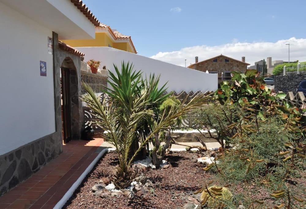 Los Cisnes Encantadora Casa Con Jardin Y Estudio Vista Al Mar El Medano  Exterior photo